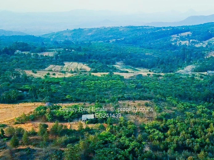 Exclusive 2000–4000m² Stands for Sale