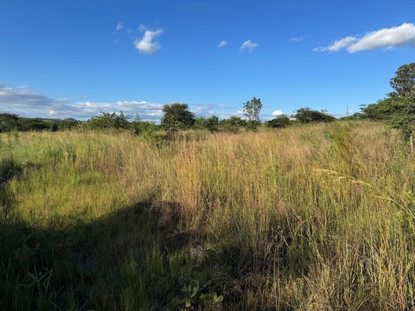 Commercial & Industrial Land