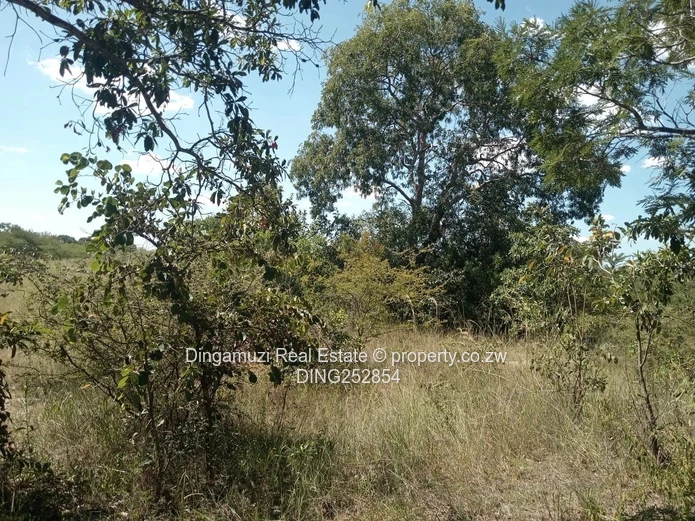 Plots in Mvuma