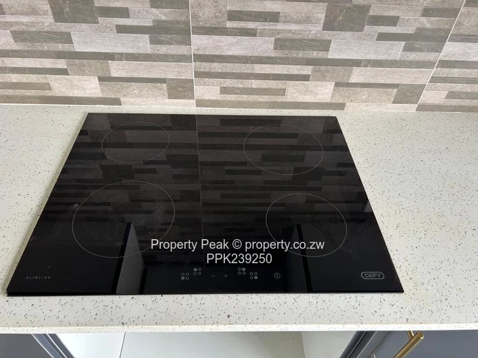 Mount Pleasant Heights  Brand New House For Sale 