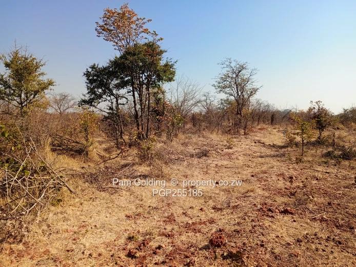 Prime 2,600sqm Residential Stand for Sale   (Sole Mandate)