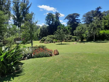 Large Gracious Home in Much Sought after Area - INVESTMENT ONLY