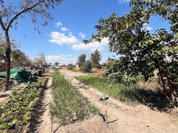 Stands & Residential Land