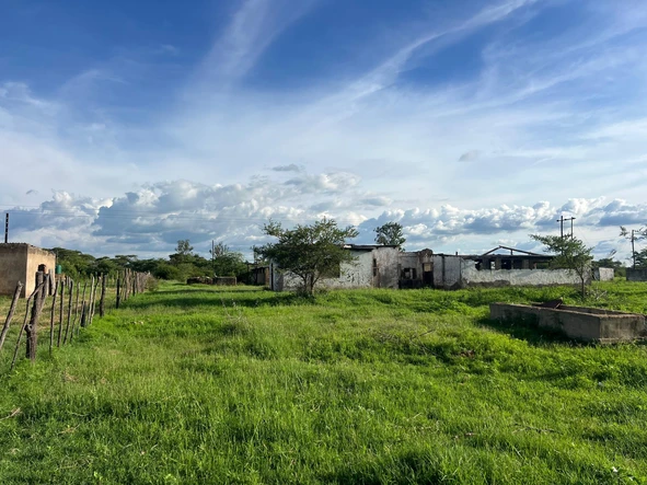 Farm & Agricultural Land