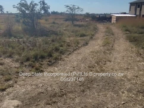 Westgate shine plus stand for sales