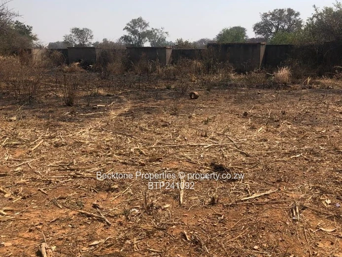 Charming Buena Vista Cottage For Sale