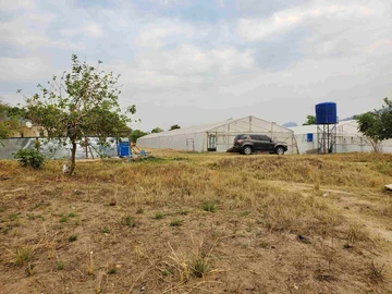 Farm & Agricultural Land