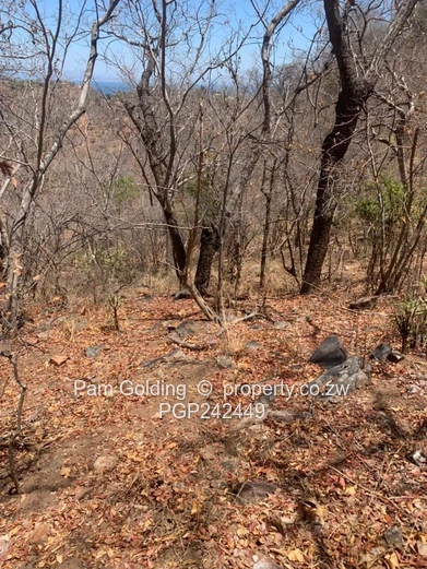 Kariba Heights Stand for Sale – Mushonga Ridge Road (Sole Mandate)