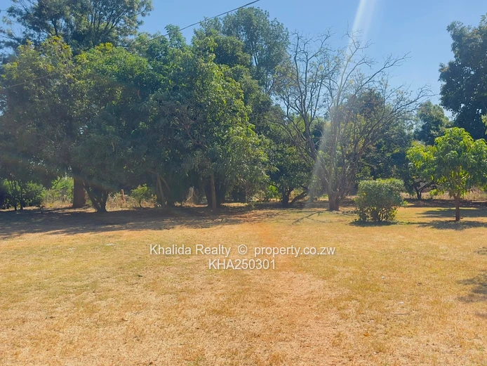 Vainona Property For Sale – Perfect For Investors