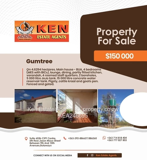 Gumtree 