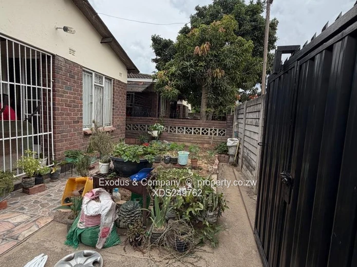 Houses for sale