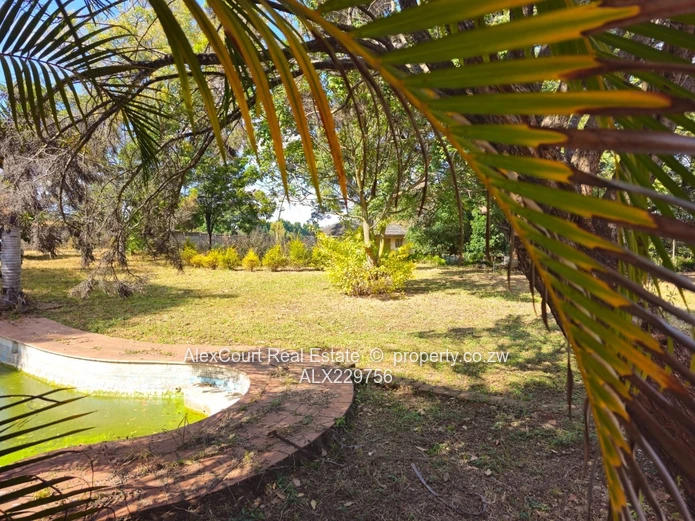 1.4 Hectare Property For Sale In HOGERTY HILL