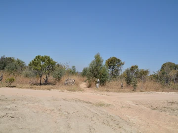 Land