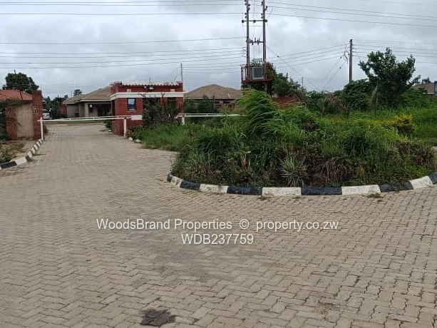 Cold Comfort Duplex Stands- Pleasant Valley drive