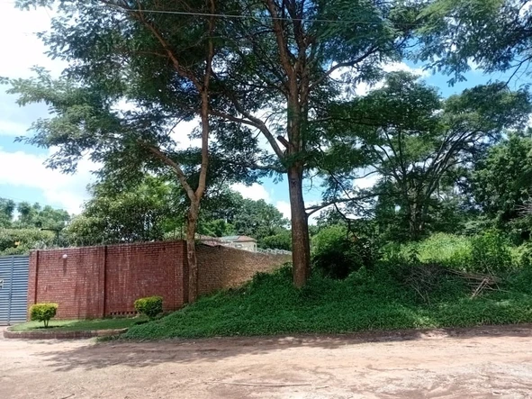 Land