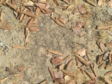 Farm & Agricultural Land