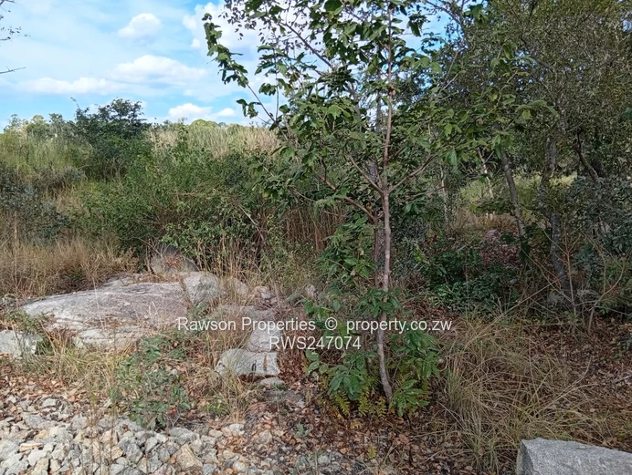 Agroplot for Sale in Ruwa