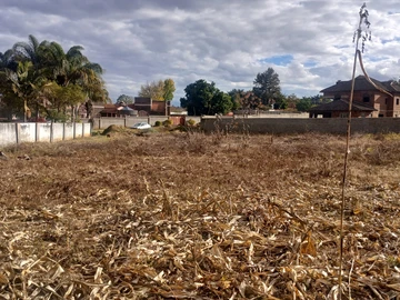 Borrowdale 4000sqm asking $160k outside the Brooke, tittle deed 