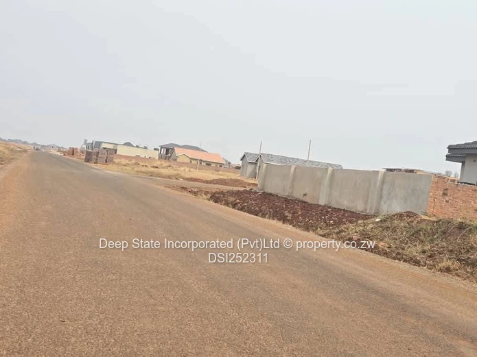 Nyeredzi stand for sale 