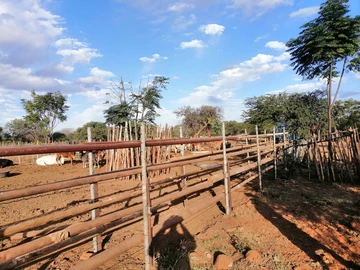Farm & Agricultural Land