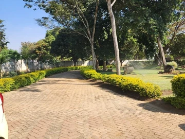 2 Bedroom Flat & Apartment