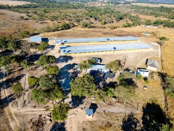 Farm & Agricultural Land