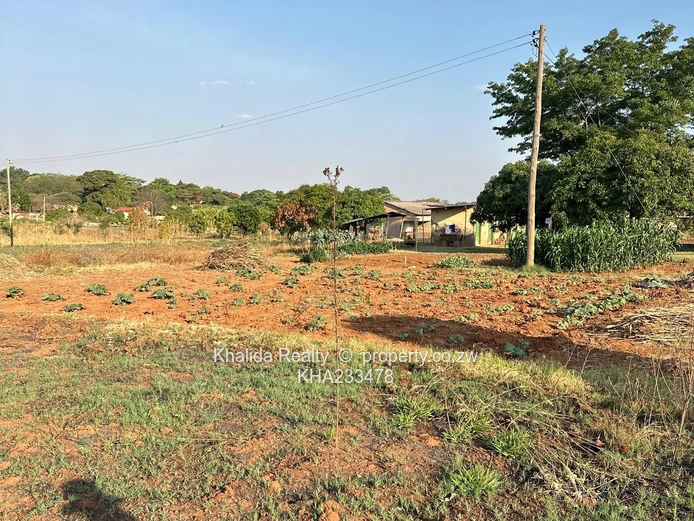 Orange Grove Property for Sale in Chinhoyi Argo-Residential  (Sole Mandate)