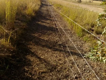 Farm & Agricultural Land