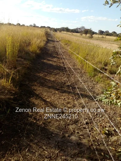 Norton plot for sale