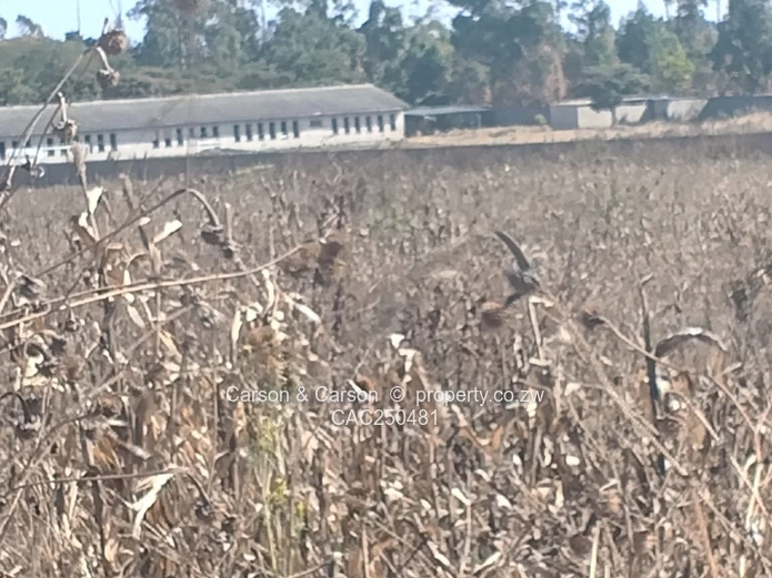 2000 m² Commercial/Industrial Land — Chitungwiza Main Road