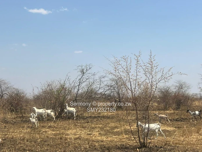 Agricultural farm for sale