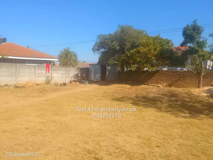 3-Bed Home with Spacious Sunny Yard & Fruit Trees — Zimre Park, Harare