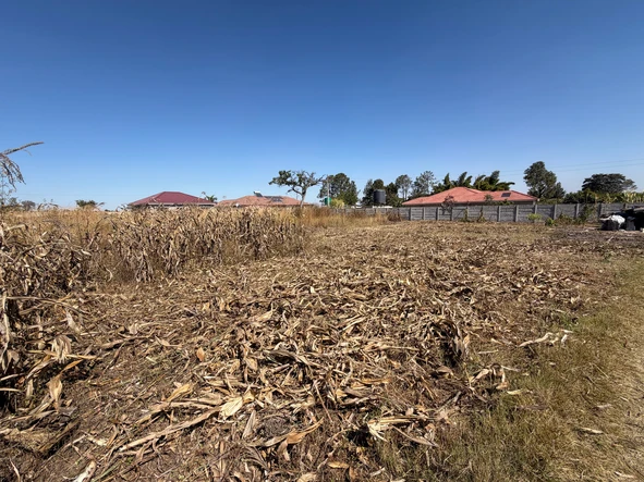 Stands & Residential Land