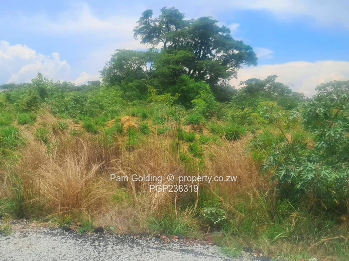 Perfect Agro-Residential Plot (Sole Mandate)