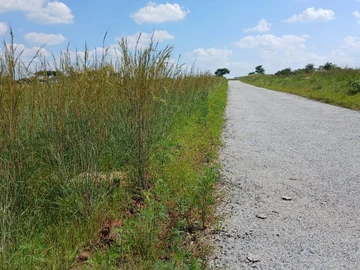 Stands & Residential Land