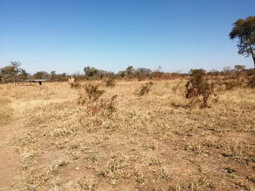 Farm & Agricultural Land