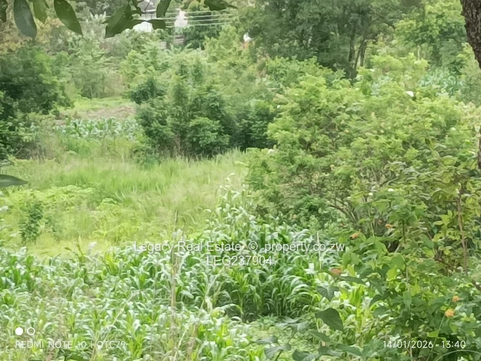 Glen Lorne Estate Property with Deeds ,Golden Oldie on Expansive Land,Ideal for Redevelopment