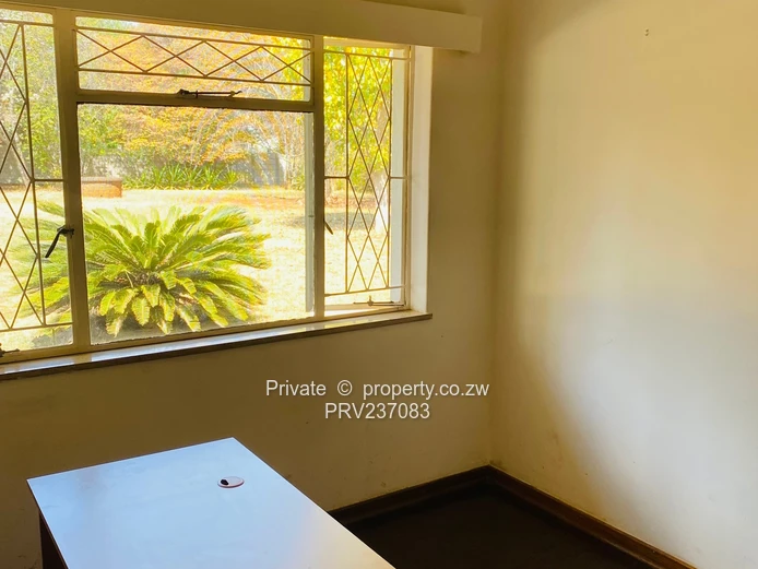 Connivence Connivence ! Absolute Gem For Brand  (Sole Mandate)