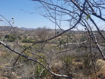 Farm & Agricultural Land