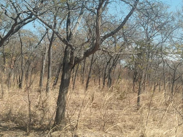 Farm & Agricultural Land