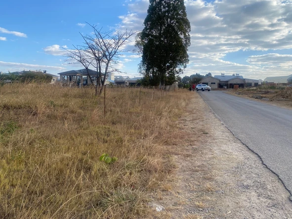 Stands & Residential Land