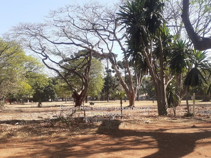 Location ,location ,location 