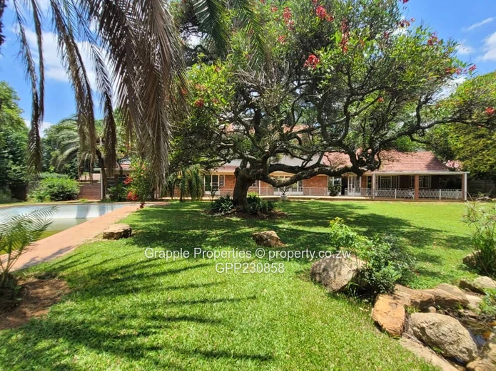 Highlands home to let  (Sole Mandate)