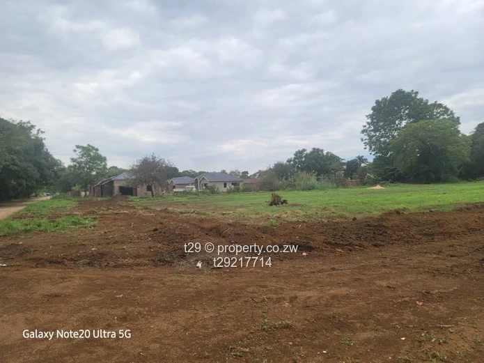 Marlborough Adylinn stands for sale