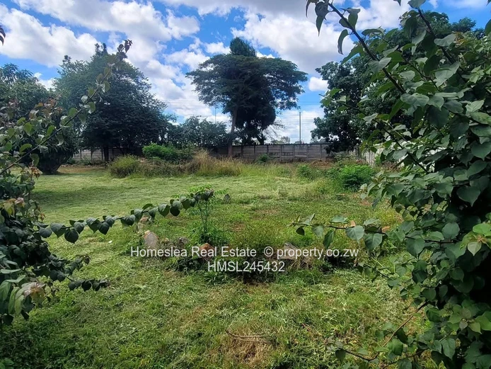 S E C O N D • S T R E E T • E X T E N S I O N