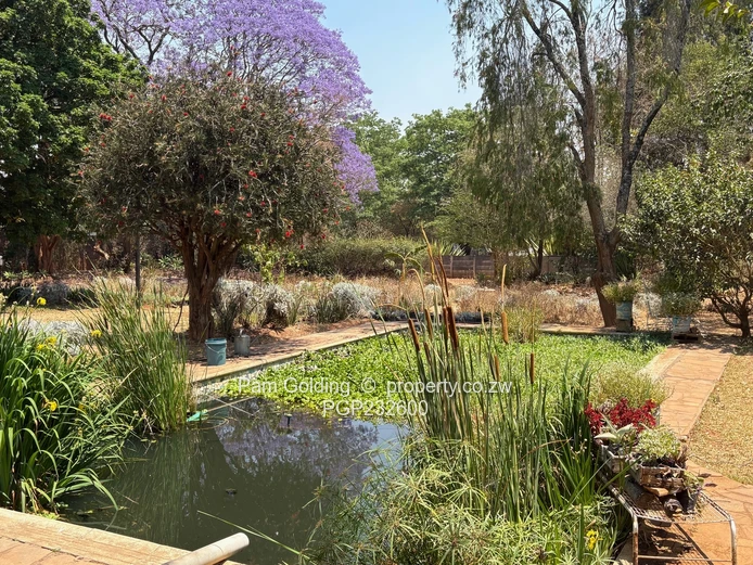 Perfect commercial property