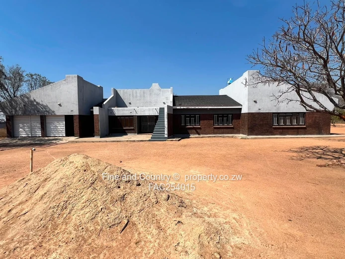 Prime Plot on the Main Road