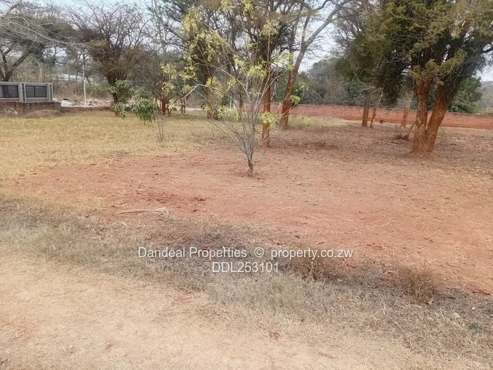 2000m² Carrick Creagh Stand — Main Road Frontage, Tarred Access