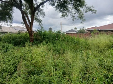 Stands & Residential Land