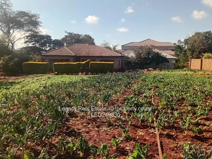 Walled Shawasha Hills 3-Bed on 2,164m² with Borehole